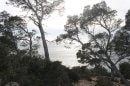 sentier du littoral : pointe Fauconnière